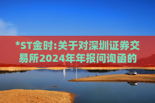 *ST金时:关于对深圳证券交易所2024年年报问询函的回复