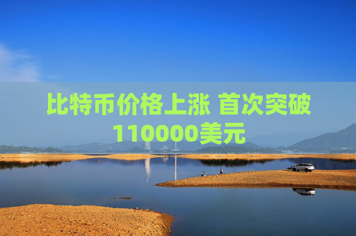 比特币价格上涨 首次突破110000美元