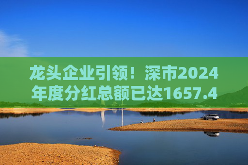 龙头企业引领!深市2024年度分红总额已达1657.47亿元