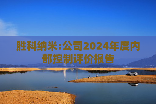 胜科纳米:公司2024年度内部控制评价报告