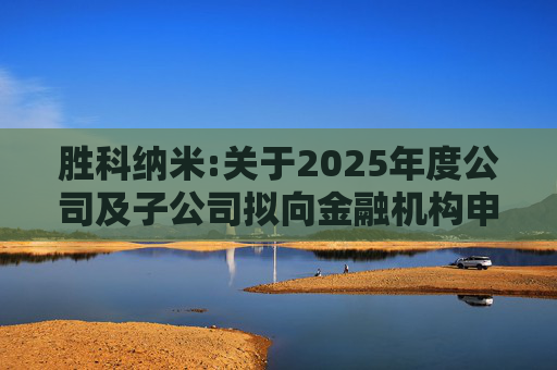 胜科纳米:关于2025年度公司及子公司拟向金融机构申请授信额度及公司为子公司提供担保额度预计的公告