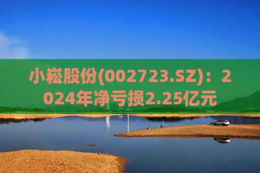 小崧股份(002723.SZ)：2024年净亏损2.25亿元  第1张