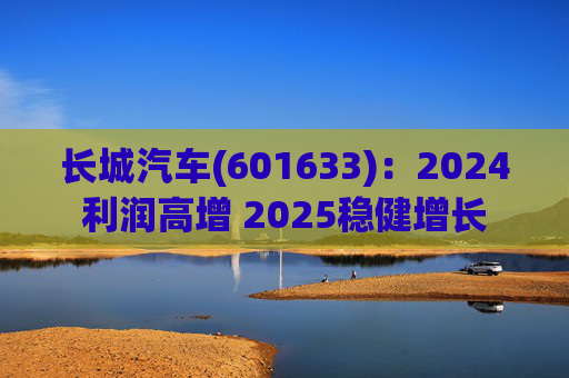 长城汽车(601633):2024利润高增 2025稳健增长