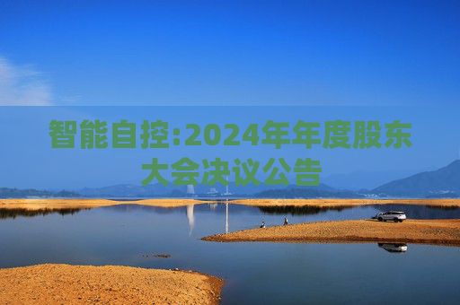 智能自控:2024年年度股东大会决议公告