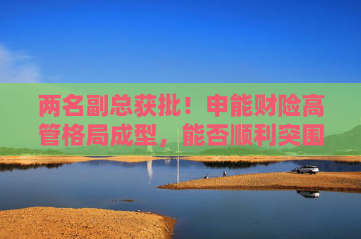 两名副总获批！申能财险高管格局成型，能否顺利突围？