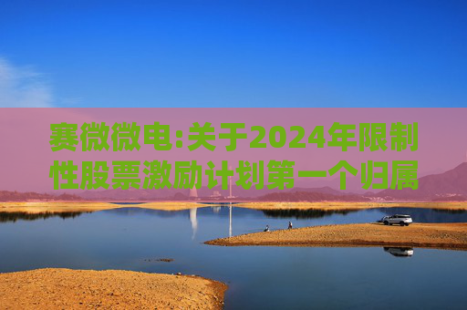赛微微电:关于2024年限制性股票激励计划第一个归属期归属条件成就的公告