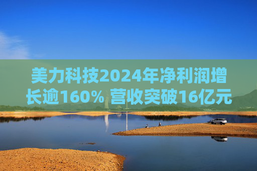 美力科技2024年净利润增长逾160% 营收突破16亿元  第1张
