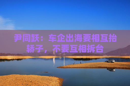 尹同跃:车企出海要相互抬轿子,不要互相拆台