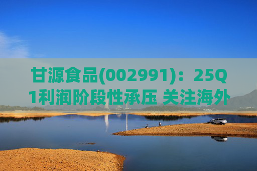 甘源食品(002991)：25Q1利润阶段性承压 关注海外市场突破