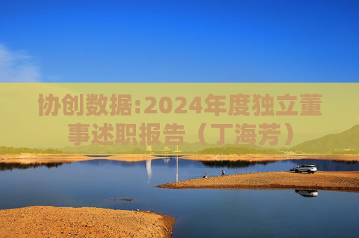 协创数据:2024年度独立董事述职报告（丁海芳）