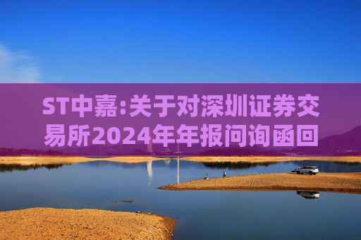 ST中嘉:关于对深圳证券交易所2024年年报问询函回复的公告