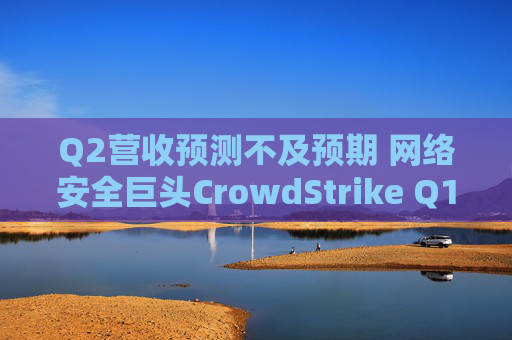 Q2营收预测不及预期 网络安全巨头CrowdStrike Q1绩后暴跌6%