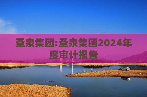 圣泉集团:圣泉集团2024年度审计报告