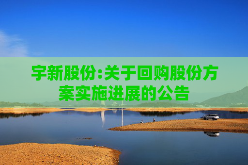 宇新股份:关于回购股份方案实施进展的公告