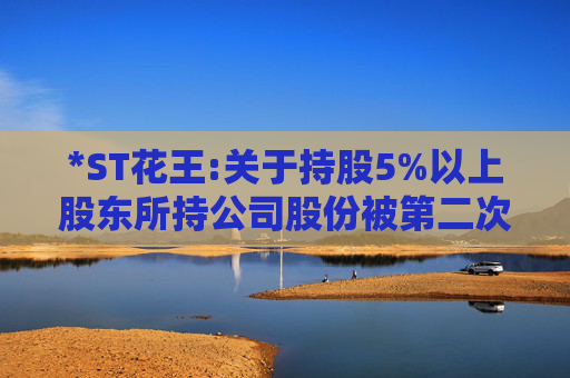 *ST花王:关于持股5%以上股东所持公司股份被第二次司法拍卖的进展公告  第1张