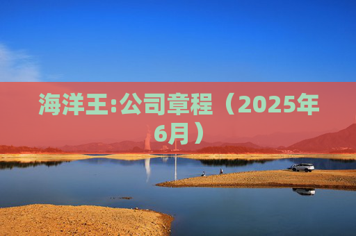 海洋王:公司章程（2025年6月）  第1张