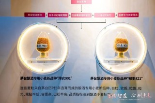 白酒25亿研发投入，都用在哪儿了？