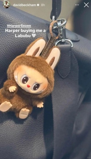 现象级曝光！蕾哈娜、贝克汉姆等明星纷纷“带货”！Labubu冲破关税打压，在美国卖断货→