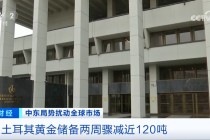 中东大国，黄金储备14天骤减近120吨！发生了什么？