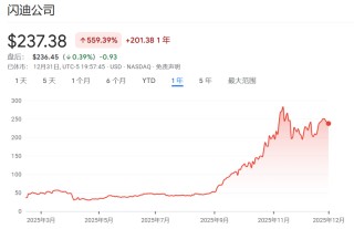 2025年美股最强Top 10，存储占了3只