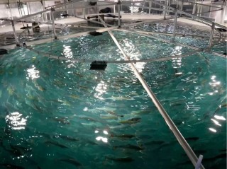 深耕浙江 | 潮涌东海，做蓝色经济的长期合伙人