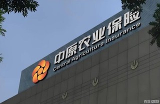 中原农险赔付率高企叠加分公司造假被罚，新掌门承压十年转型