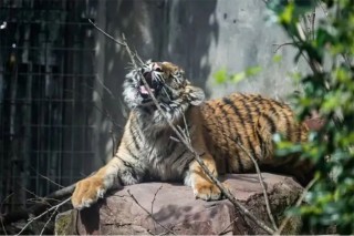 “五一”假期余额不足两天，多地景点已约满、限流