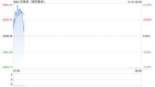 金价破5000美元黄金股狂飙 业绩并购双驱 湖南黄金“一字”涨停
