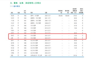 大家保险派驻民生银行董事领取“双份薪酬”