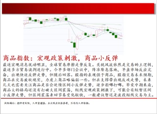 中天期货:原油回补缺口 棕榈继续下行