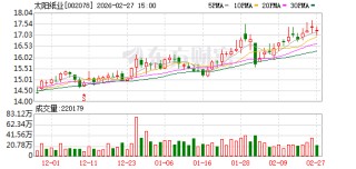 太阳纸业：2025年度业绩快报