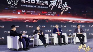 仇保兴、李稻葵、朱宁激辩：稳楼市已到关键时刻，中央须出“大招”｜和讯2025年会