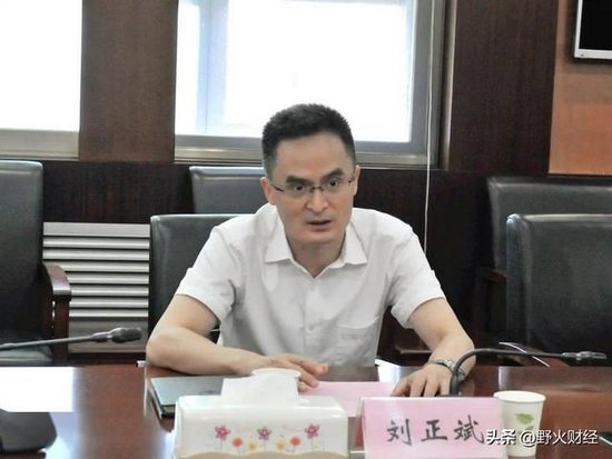 长江证券选举新掌门，是湖北省副厅级干部  第2张