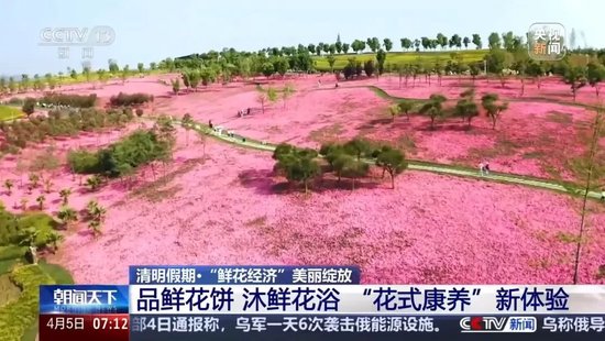 暴涨220%!这一市场,绽放! 第5张 暴涨220%!这一市场,绽放! 第5张