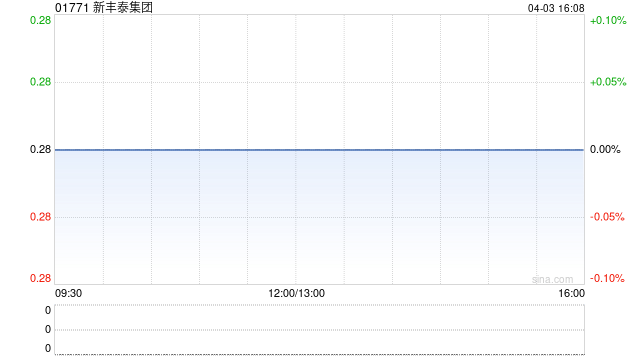 新丰泰集团向附属公司提供担保  第1张