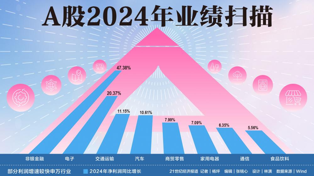 A股2024年业绩扫描  第1张