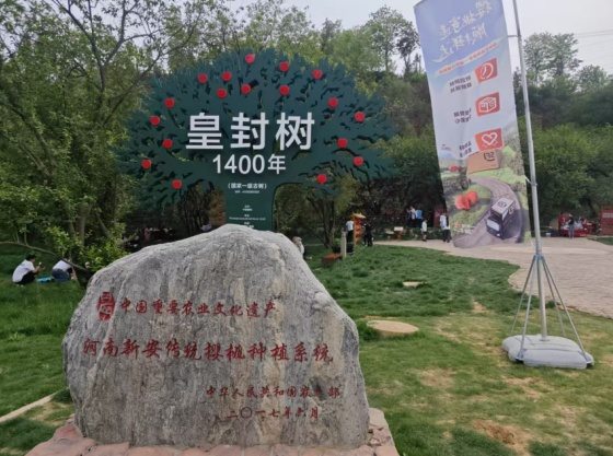 河南五一假期“樱桃经济”遍地开花 第3张 河南五一假期“樱桃经济”遍地开花 第3张