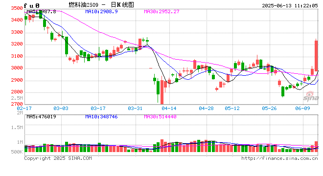 开盘|国内期货主力合约涨跌不一 燃料油涨停  第2张