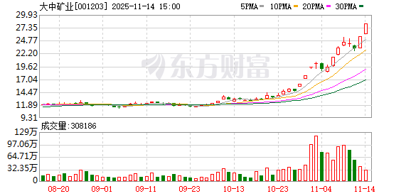 大中矿业：股票交易异常波动  第1张