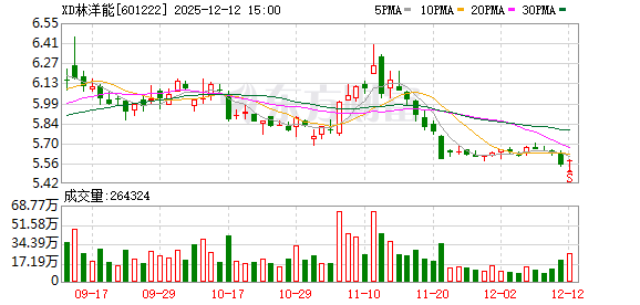 林洋能源：已形成以智能电表、储能系统、新能源技术为主线的专利池与技术储备  第1张