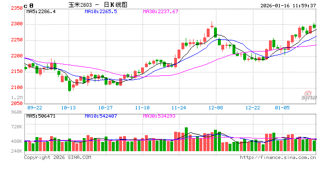 元旦后玉米维持微涨走势 基层货源流转成远期关键变量 第2张 元旦后玉米维持微涨走势 基层货源流转成远期关键变量 第2张