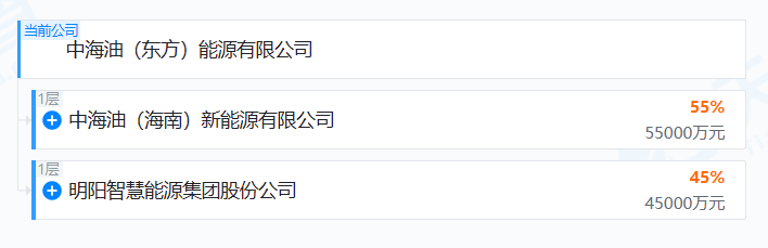 中国海油猛攻风电:这不是转型,是降维打击! 第4张 中国海油猛攻风电:这不是转型,是降维打击! 第4张